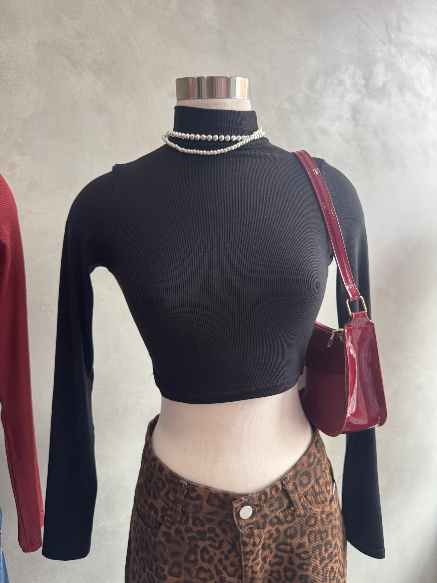 Turtle Neck Basic (2 colors)