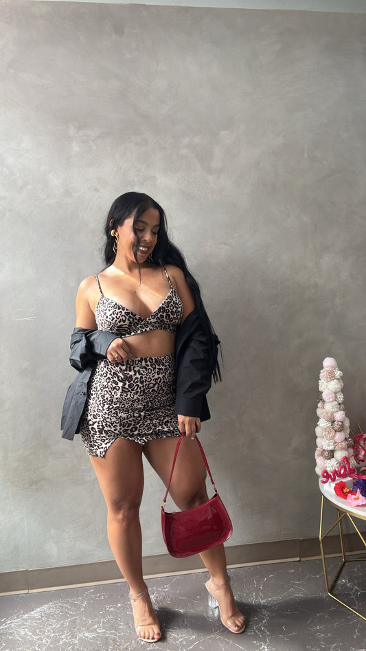 Leopard Skirt Set